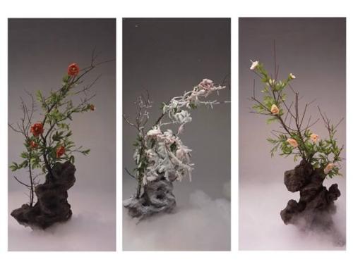 Red, White and Frozen Peony
