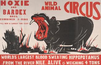 Hoxie Bardex: Hippopotamus