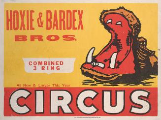 Hoxie Bardex: Hippopotamus