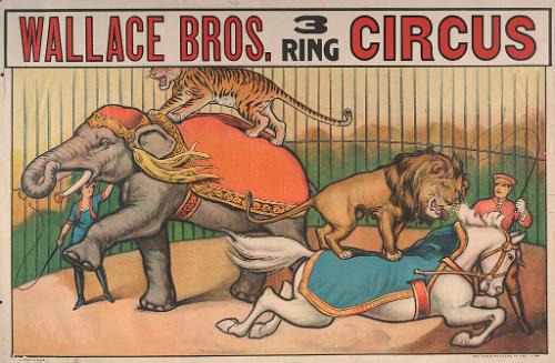 Wallace Brothers: Animal Acts
