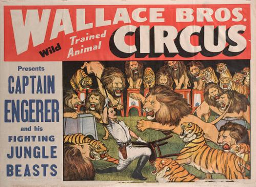Wallace Brothers: Captain Engerer