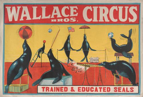 Wallace Brothers: Trained and Educated Seals