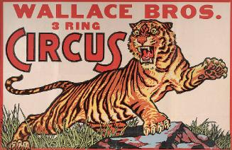 Wallace Brothers: Tiger