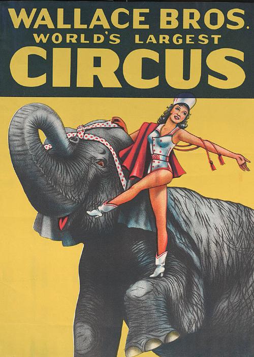 Wallace Brothers: Elephant Girl