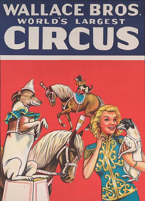 Wallace Brothers: Dog and Pony Act