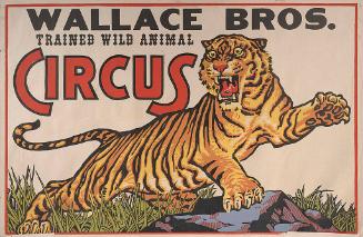 Wallace Brothers: Charging Tiger