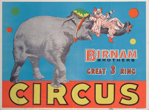 Birnam Bros.: Clown on Elephant