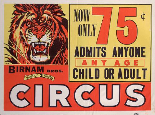 Birnam Bros.: Lion