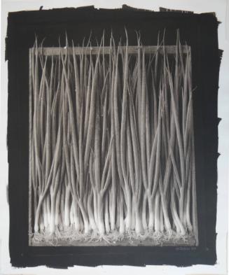 Scallions