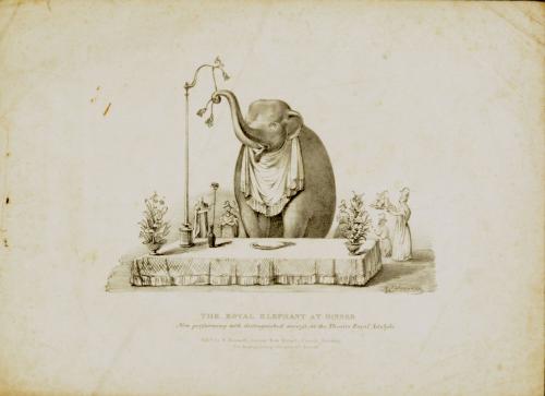 The Royal Elephant at Dinner