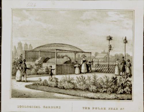 The Polar Bear Cage at London Zoological Gardens