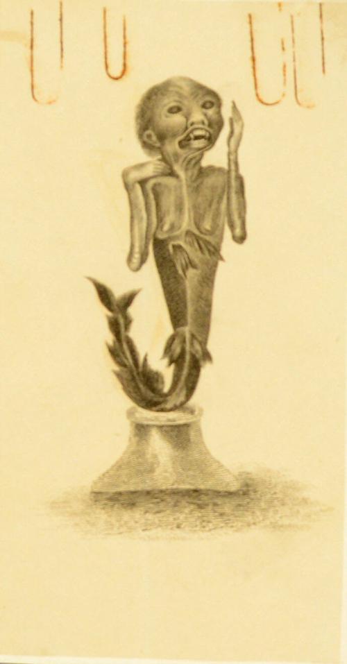 Print showing Front of Mermaid