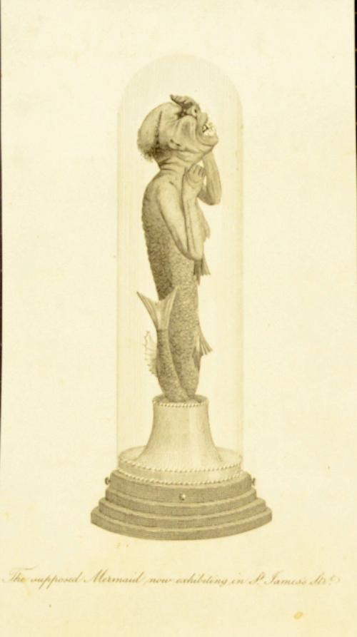 The supposed Mermaid now exhibiting in St. James Strt