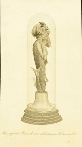 The supposed Mermaid now exhibiting in St. James Strt