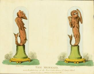 The Mermaid now Exhibiting at the Turf Coffee House, St. James Street