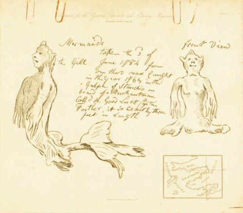 Mermaids taken the 3rd of June, 1784