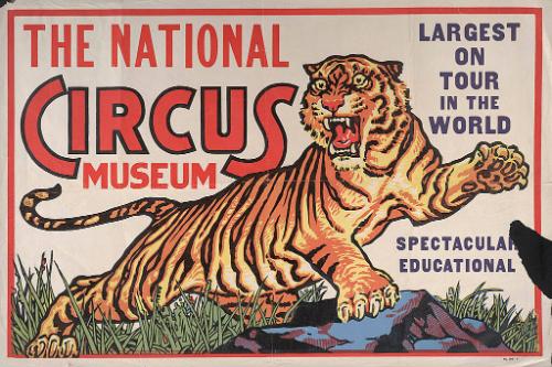 National Circus Museum: Tiger