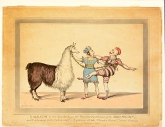 Grimaldi and the Alpaca, in the popular Pantomime of the Red Dwarf, now performing with unbounded applause at the Theatre Royal, Covent Garden