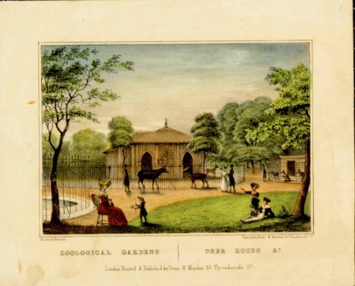 Zoological Gardens Deer House
