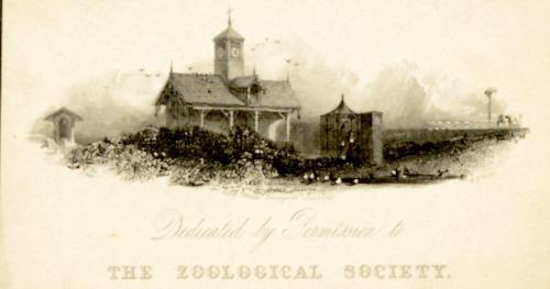 Scrap 'Dedicated by Permission to The Zoological Society'