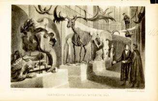 Cambridge Geological Museum
