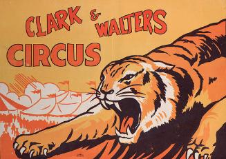 Clark & Walters: Tiger