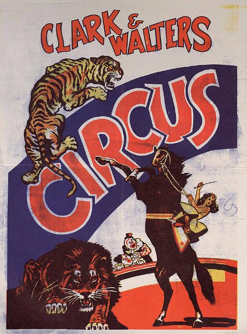Clark & Walters: Circus Animals