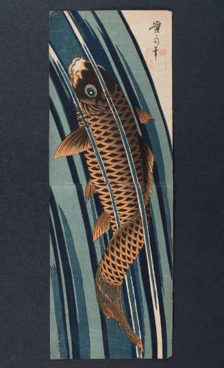 Carp Leaping a Waterfall