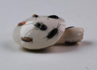 Netsuke in the form of a mushroom with insects