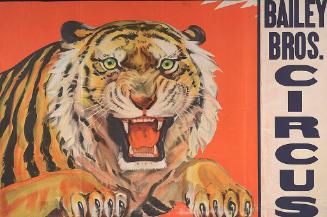 Bailey Bros.: Tiger Head