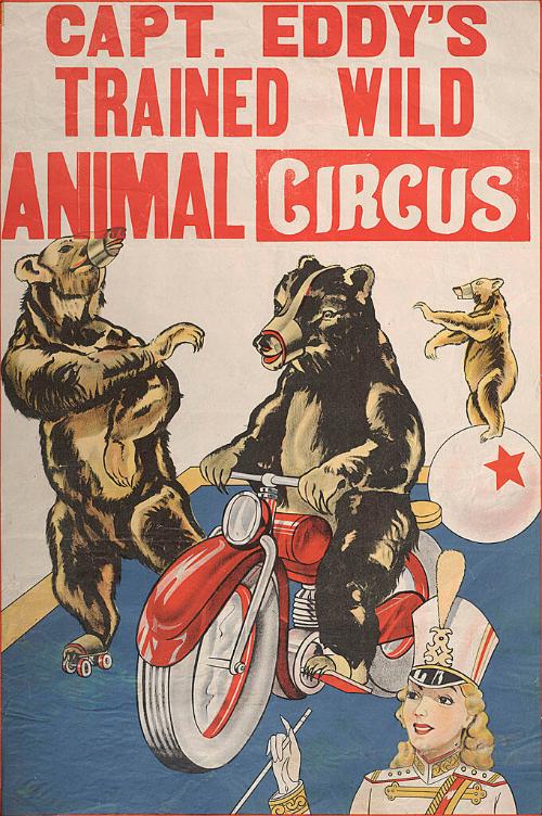 Captain Eddy's & Eddy Bros.: Bear Act