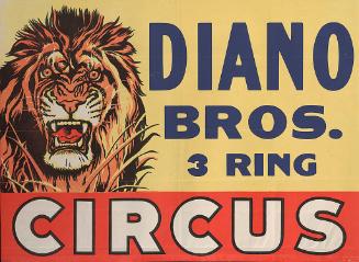 Diano: Lion