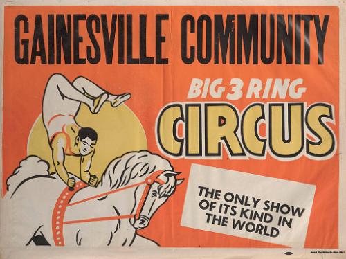 Gainesville Community Circus: Bareback Horse Act