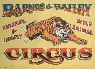 Barnes & Bailey: Tiger through Paper Hoop