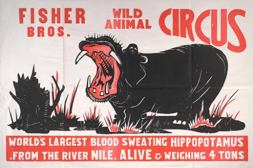 Fisher Bros.: World's Largest Blood Sweating Hippopotamus