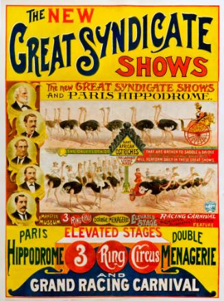 New Great Syndicate Shows: Giant African Ostriches