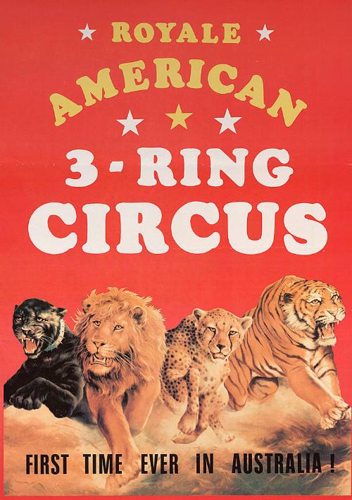 Royale American: Big Cats