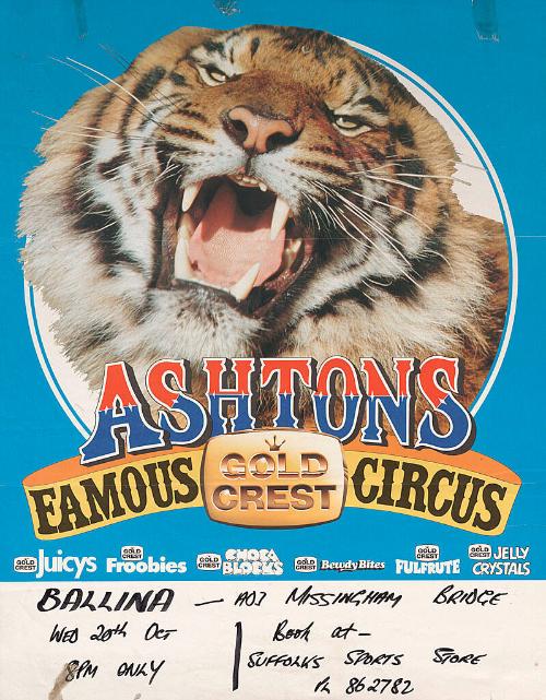 Ashton: Tiger