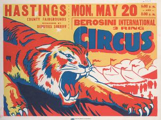 Berosini International: Tiger