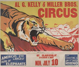 Al G. Kelly-Miller: Tiger