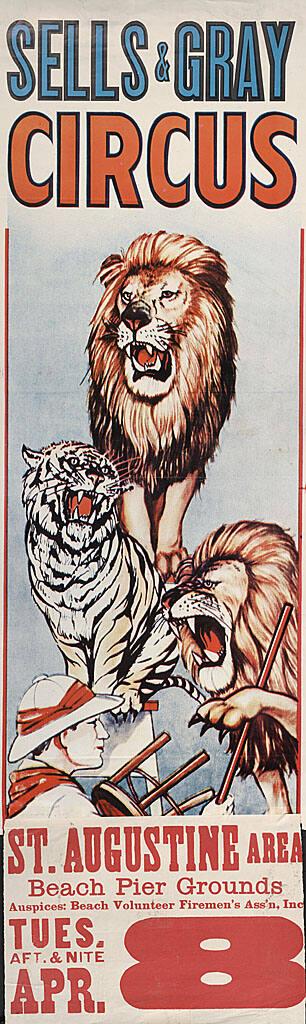 Sells & Gray: Big Cat Act