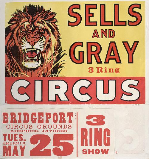 Sells & Gray: Lion