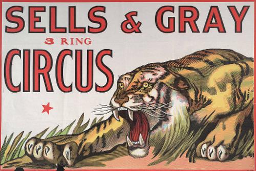 Sells & Gray: Tiger