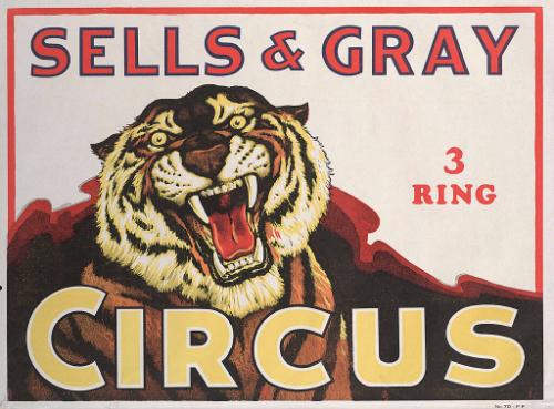 Sells & Gray: Tiger