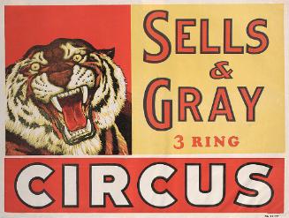 Sells & Gray: Tiger