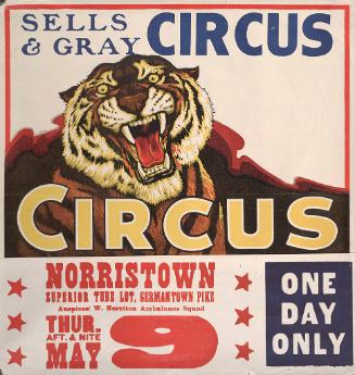 Sells & Gray: Tiger