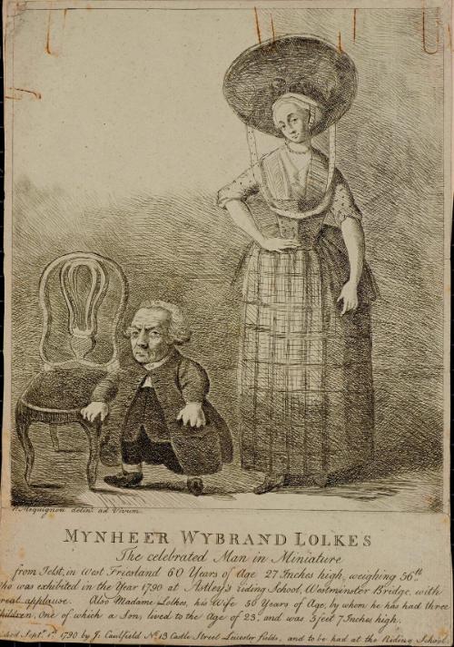 Mynheer Wybrand Lolkes, The Celebrated Man in Miniature