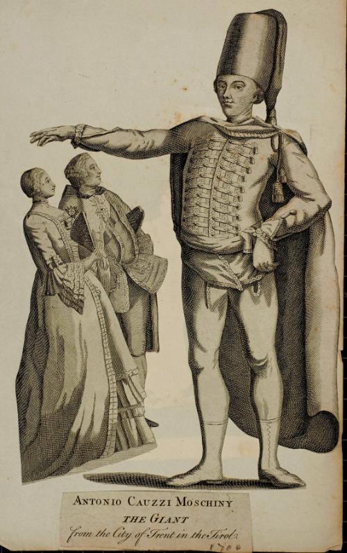 Antonio Cauzzi Moschiny The Giant. from the City of Trent in the Tirol