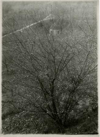 Josef Sudek