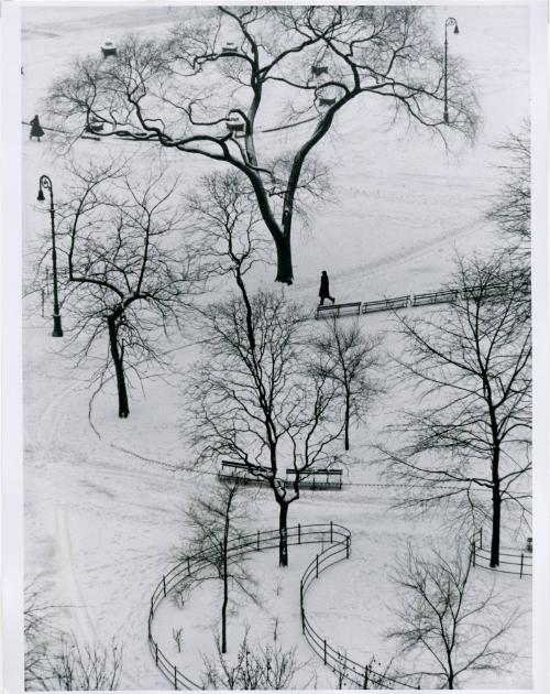 Washington Square